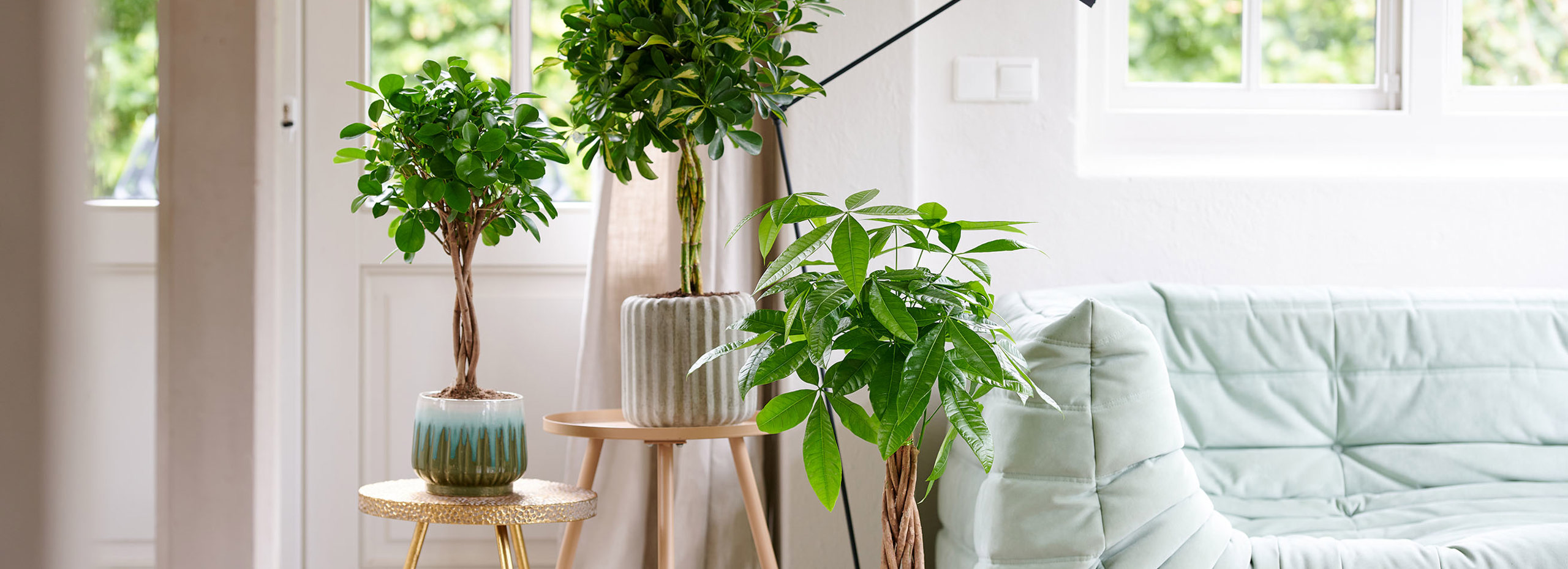 Gevochten Stammenmix 2